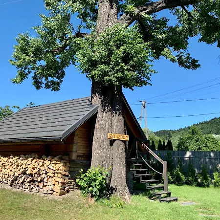 Villa Zacisze Pod Lipa *